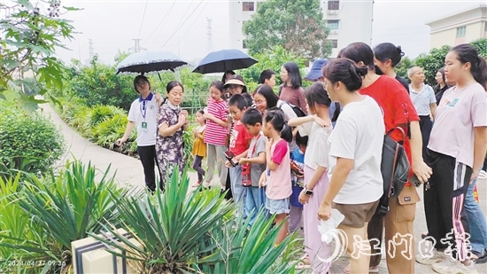 市民在嶺南藥用植物園學(xué)習(xí)辨認(rèn)常用的藥用植物。