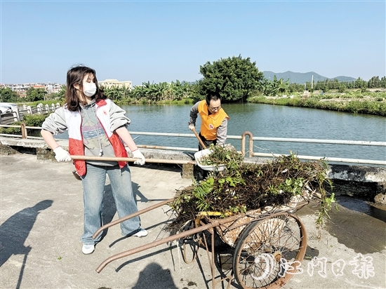 當(dāng)天，黨員干部、志愿者與群眾共同投身于一場清潔行動。